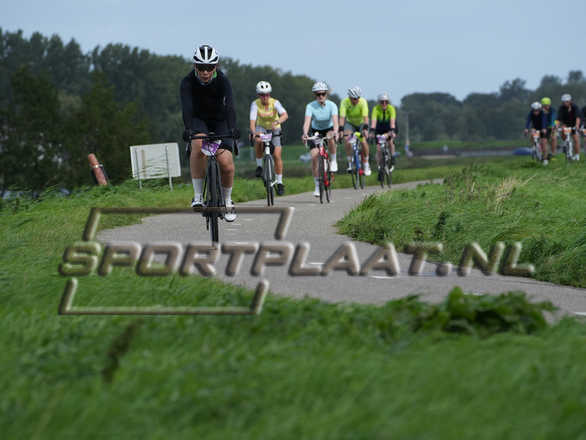 D3667.jpg
